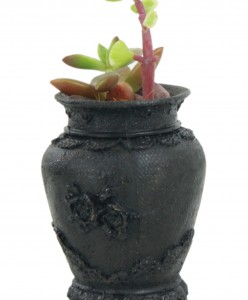Mini Çiçek Saksı Küçük Sukulent Siyah Kaktüs Saksısı Desenli Vazo Model
